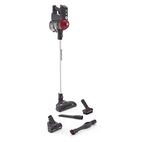 Hoover Freedom FD22RP011