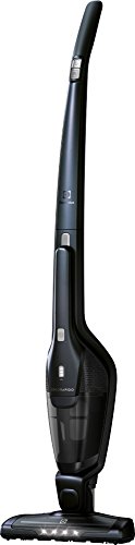 Acheter Aspirateur sans fil Electrolux Ergorapido EER75STM Avis