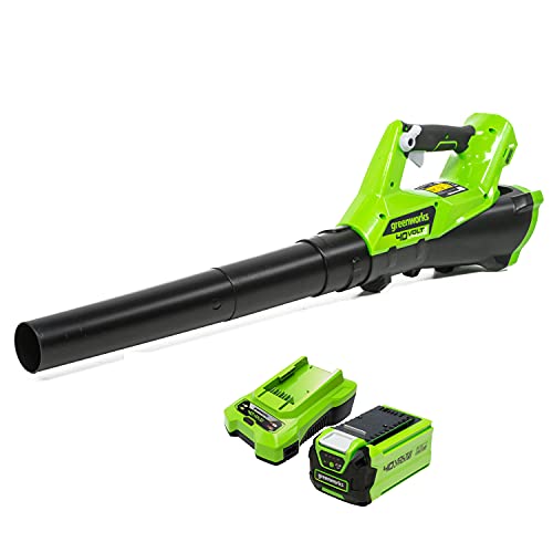 Acheter Évaluations de Greenworks 40 V (G40AB)