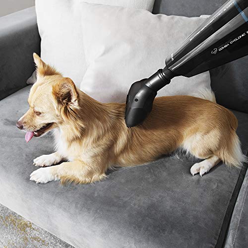 Conga Immortal ExtremeSuction 22.2V Animal Aspirateur à main avis