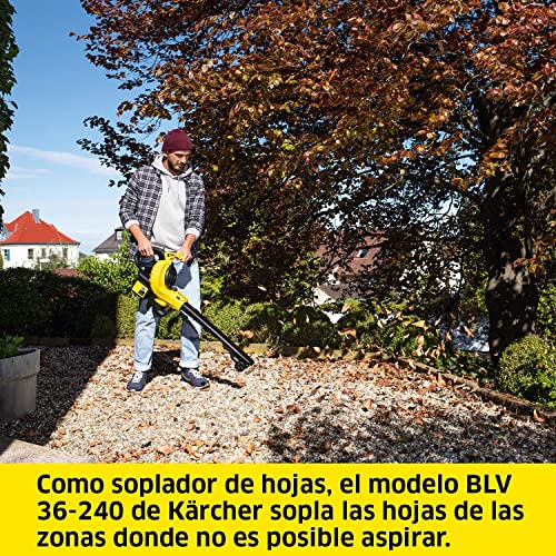 Avis sur Aspirateur souffleur à batterie Kärcher BLV 36-240