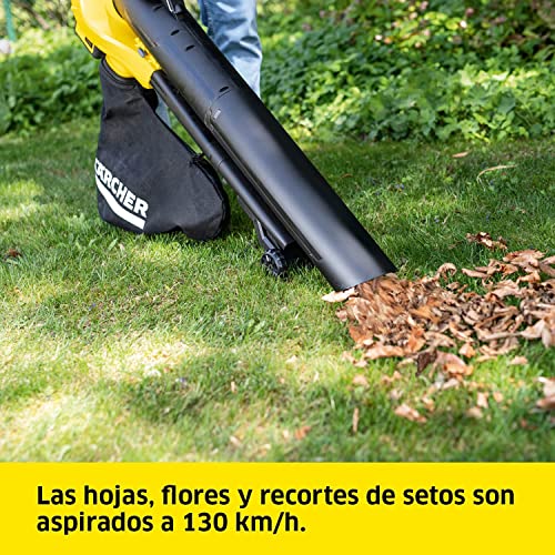 Avis sur Aspirateur à batterie Kärcher BLV 36-240