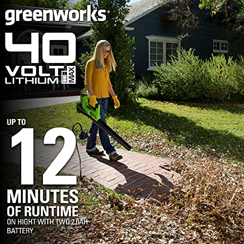 Avis sur Greenworks 40V (G40AB)