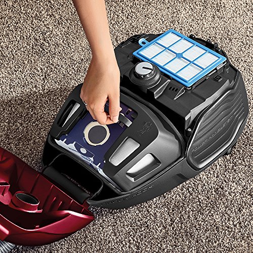 Avis sur AEG VX6 Force Animal