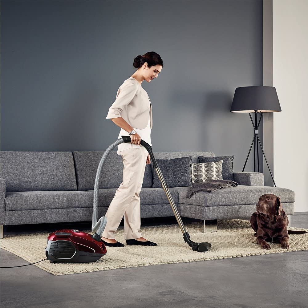 AEG VX6 Force Animal – L'aspirateur avec sac dont votre animal a besoin 1 AEG VX6 Force animale
