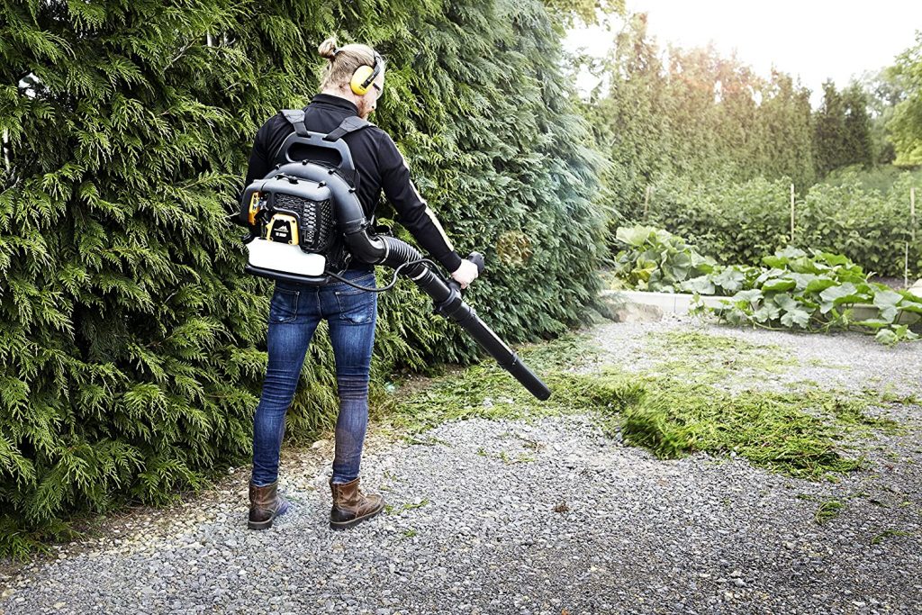 Les 5 meilleurs aspirateurs dorsaux de 2022 – Comparatif 1 meilleur aspirateur dorsal