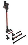 Hoover H-Free 200 HF222AXL