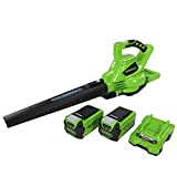 Outils Greenworks 24227UG
