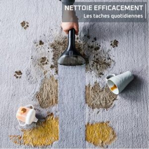 Avis Rowenta Clean it IN5020F0 : Shampouineuse Puissante 750W