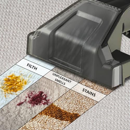 Test & Avis Vonia Nettoyeurs tapis : Verdict après 3 mois 6 1749258679 Test Avis Vonia Nettoyeurs tapis Verdict apres 3 mois